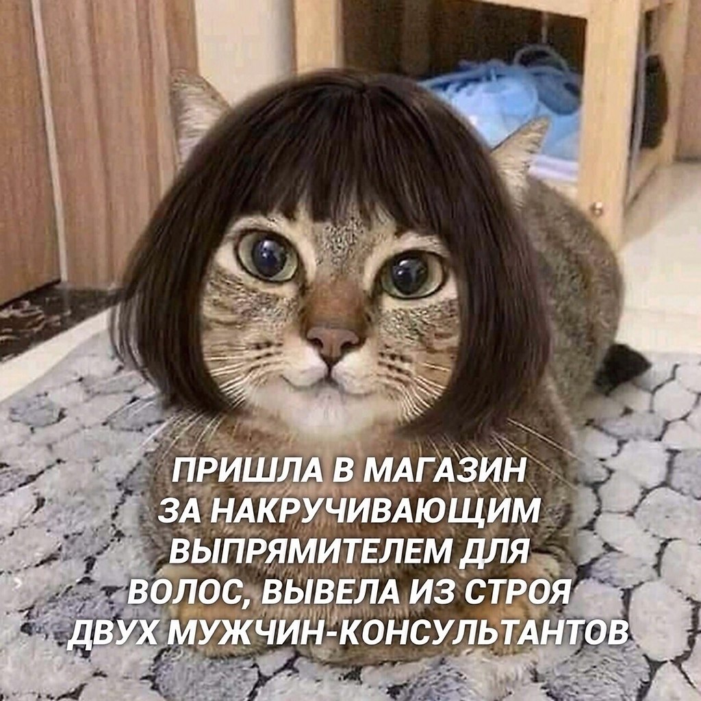   :