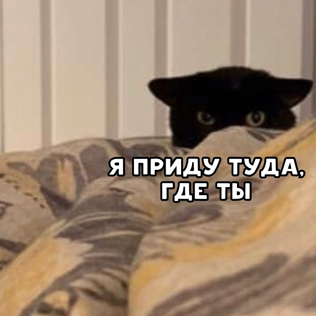  ,   ))) ) - 5