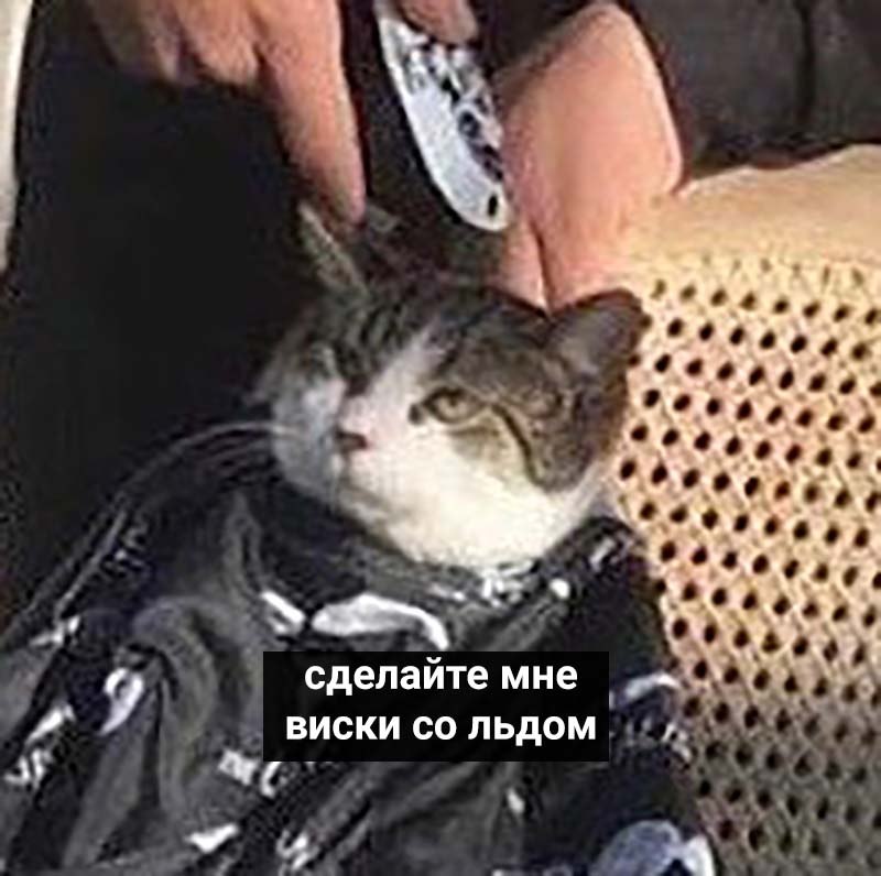 : - 2