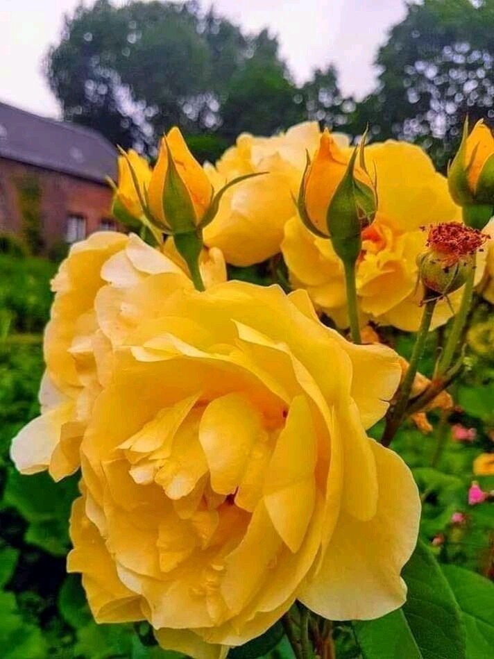   ,    . - 29  2020  22:45