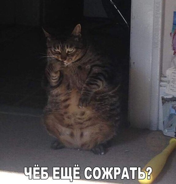    - 23  2020  19:06