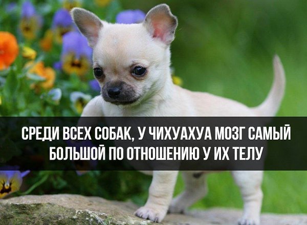 ������� - 26 ����� 2020 � 18:31