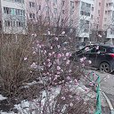 ���� ������, ����������, 56 ��� - ��������� 3 ������ 2020 � ������ ���� ����������