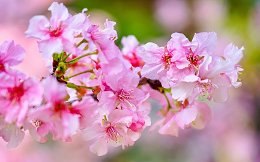 .     .   : ,    ... - 2