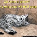 ���� �������, �������� - ��������� 10 ������ 2020 � ������ ���� ����������