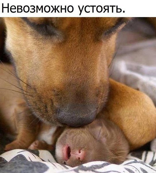 ������� - 7 ������ 2020 � 19:13
