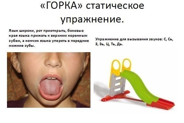  .      ... - 3