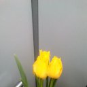 ���� ������, ��� - ��������� 20 ��� 2020 � ������ ������ ��������