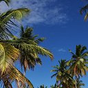 ���� �����, ������ - ��������� 15 ����� 2020 � ������ ���� ����������