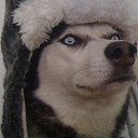 ���� Elena, �������� - ��������� 30 ����� 2020 � ������ ������.��� ���� ���������� � ������.�