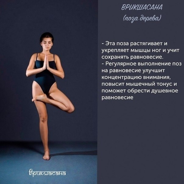  - yoga |jo|.     :   