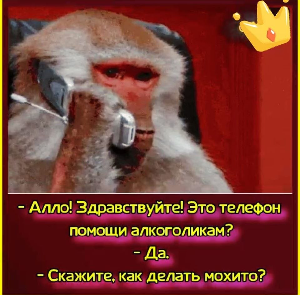   ! - 25  2020  06:52