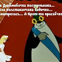  &&&&,   -  5  2020    