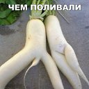 ���� �����, �����, 45 ��� - ��������� 13 ������� 2020 � ������ ���� ����������