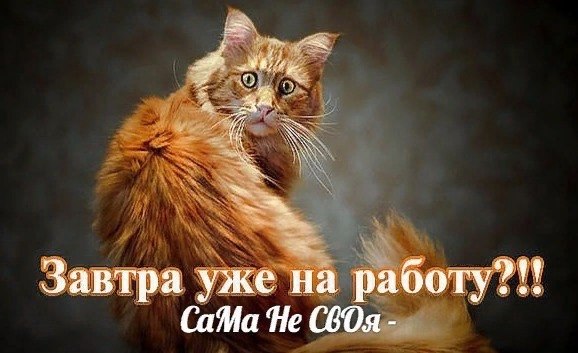    !   ,   -    ...