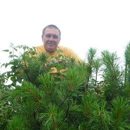 ���� ������, �����������, 84 ���� - ��������� 12 ������ 2020