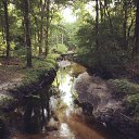 ���� Bible, Los Angeles, 56 ��� - ��������� 26 ������ 2020