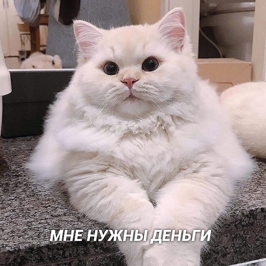         - 2