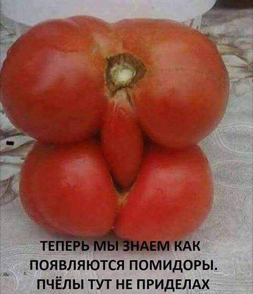������ - 1 ����� 2020 � 22:25