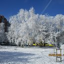 ���� �����, ������ - ��������� 23 ������� 2020 � ������ ���� ����������