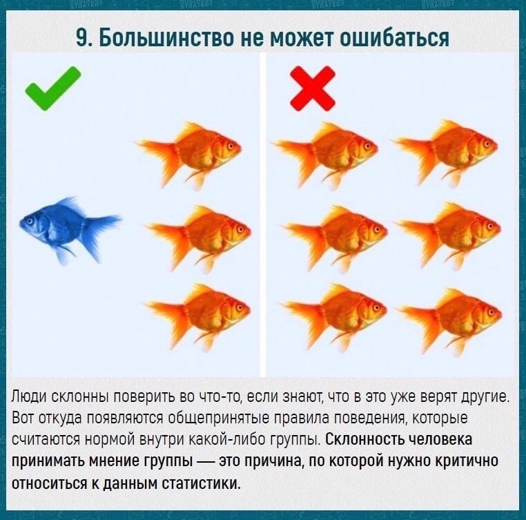   .         - 7