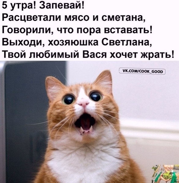 � ���� ��������� ����� ��?