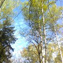 ���� �., ������ - ��������� 20 ���� 2020 � ������ ���� ����������