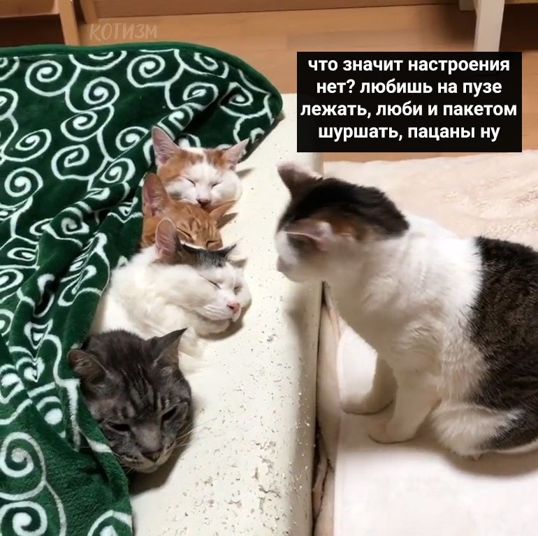      - 6