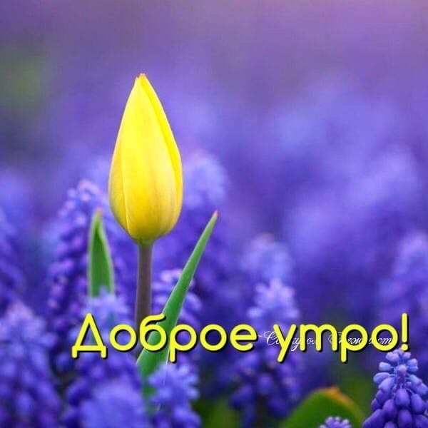   ,    . - 10  2020  21:48 - 2