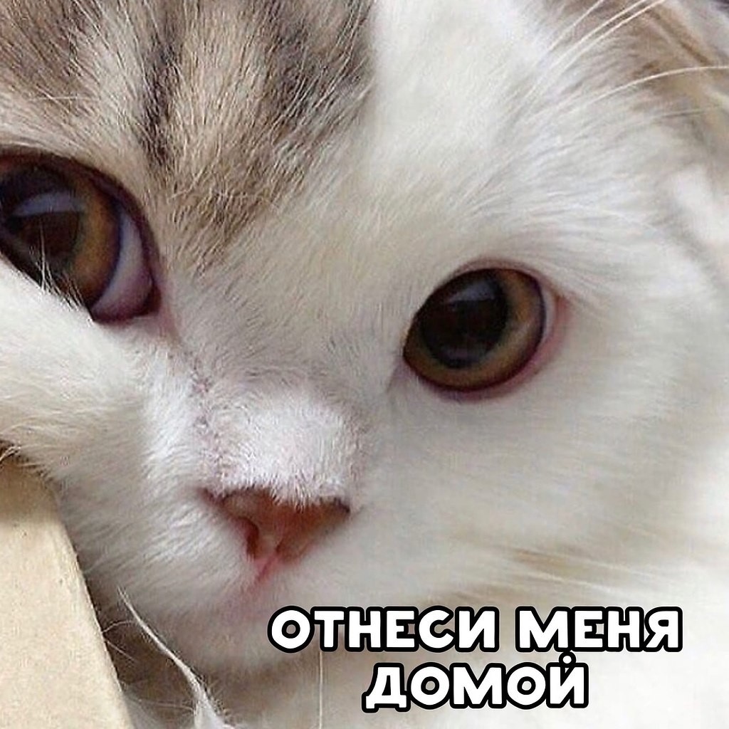  ,   ))) ) - 3