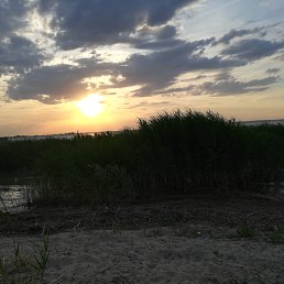 ������, ����������, 48 ���