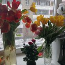 ���� �����, ������������, 46 ��� - ��������� 9 ����� 2020 � ������ ���� ����������