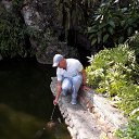 ���� �����, ������, 53 ���� - ��������� 15 ������� 2020 � ������ ��������, �������