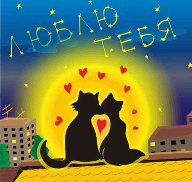Я тебя люблю котик