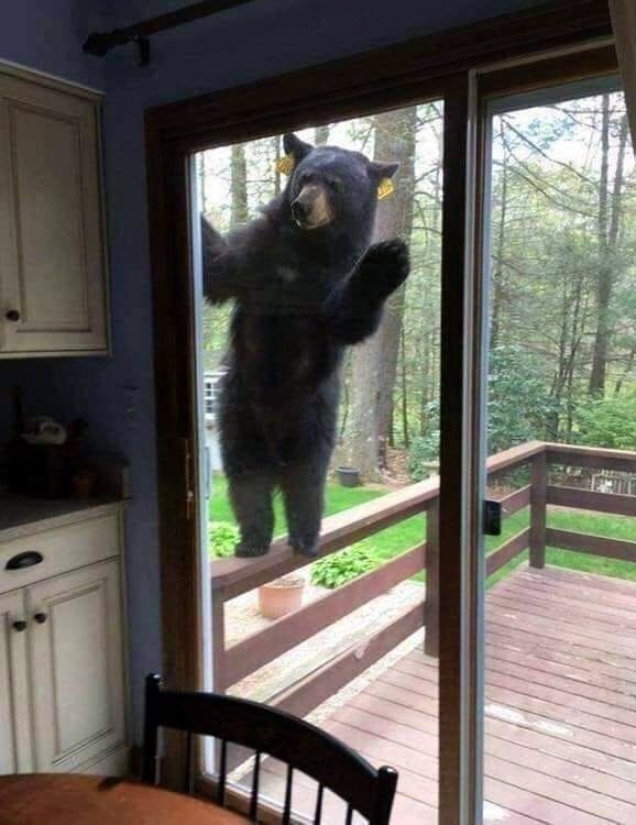 - o e! o e eo eeo o o ea?
