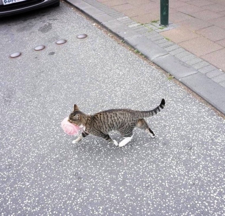 ,      !)