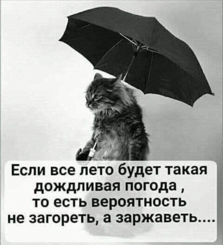  - 12  2020  20:22
