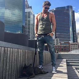 Cobra, ������
