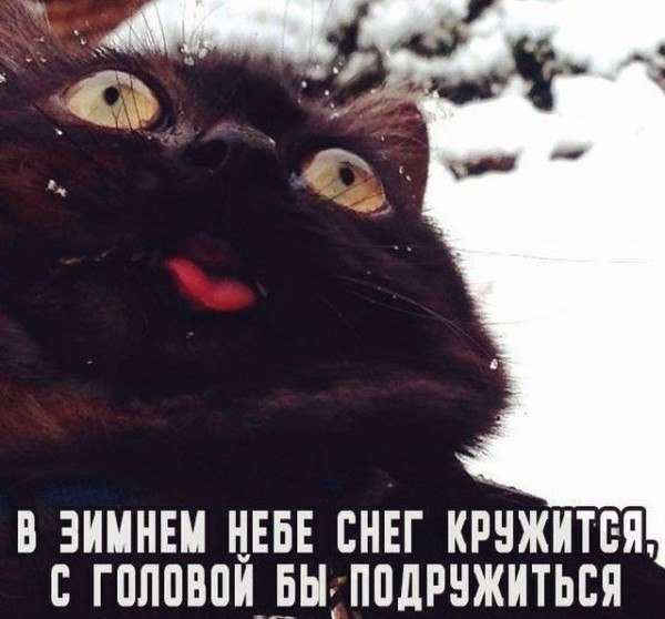         ,      ...