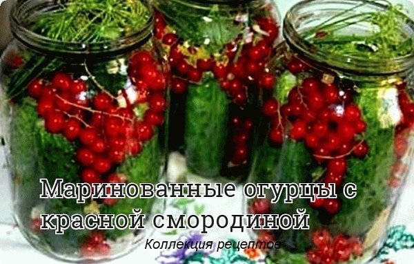 #заготовки #консервация.Огурцы получаются очень пикантные и хрустящие. И очень вкусна маринованная ...