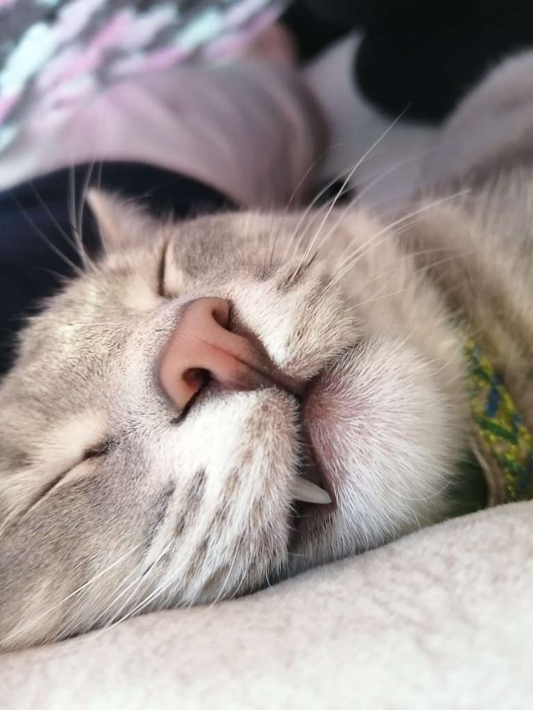 #_.  2019    ,     .   ... - 6