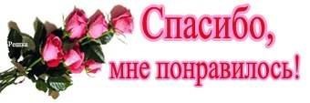   ,    . - 23  2020  21:04 - 5