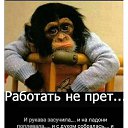 ���� �������, �������� - ��������� 10 ������ 2020 � ������ ���� ����������