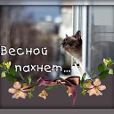���� �����, ������������� - ��������� 29 ������� 2020 � ������ ������ ��������