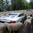 ���� ��������, ������ - ��������� 9 ���� 2020 � ������ �������� �����