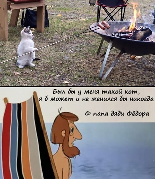     )))
