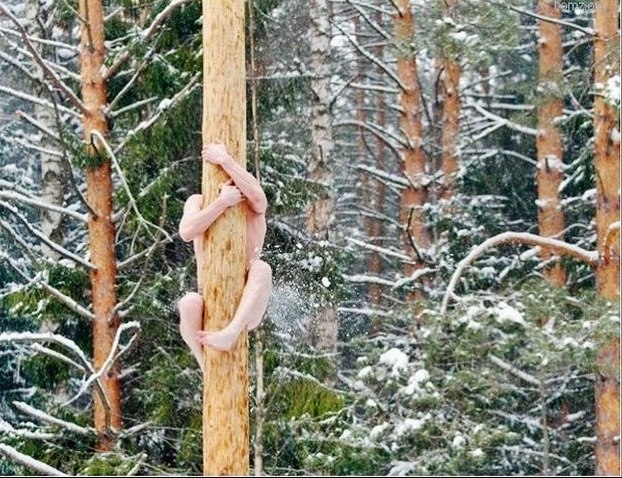 aoe   - e po""a pa...... )))))