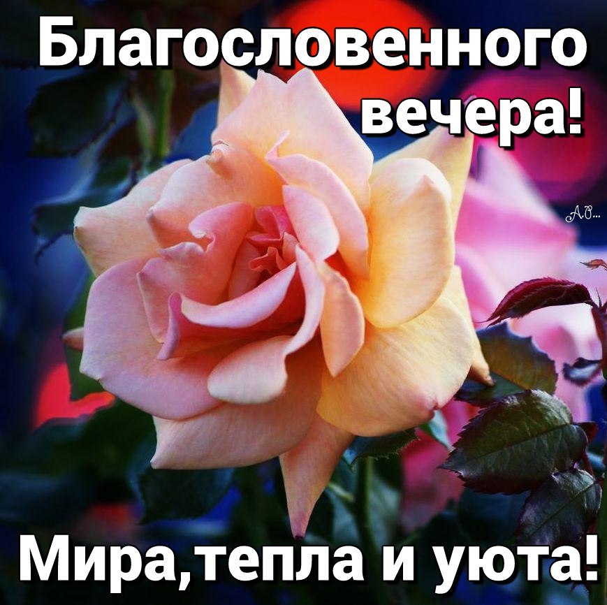   ,    . - 5  2020  18:58