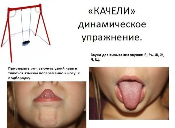  .      ... - 5