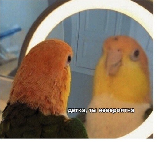        :